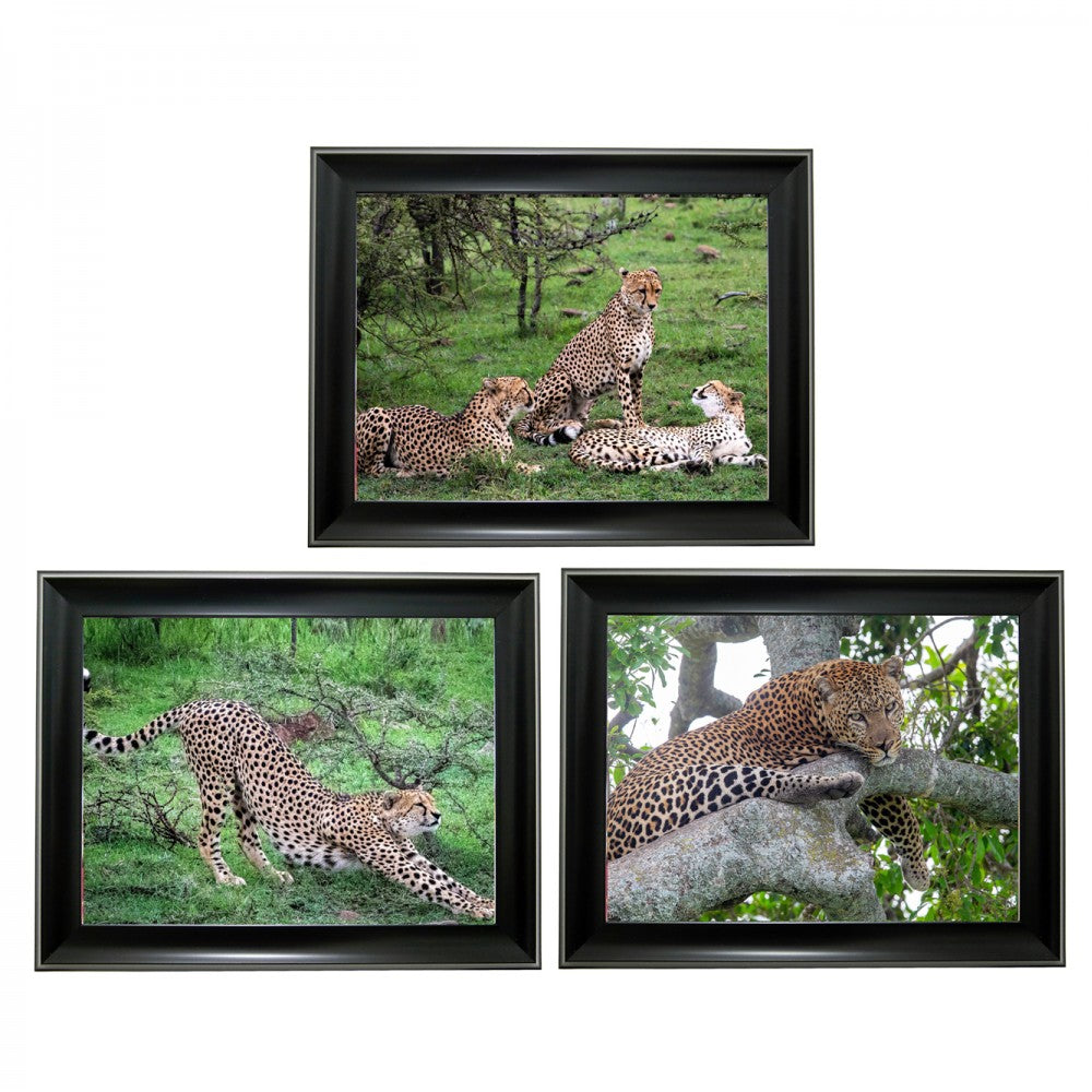 Leopard Tripple 3D Picture (MINIMUM OF 4)