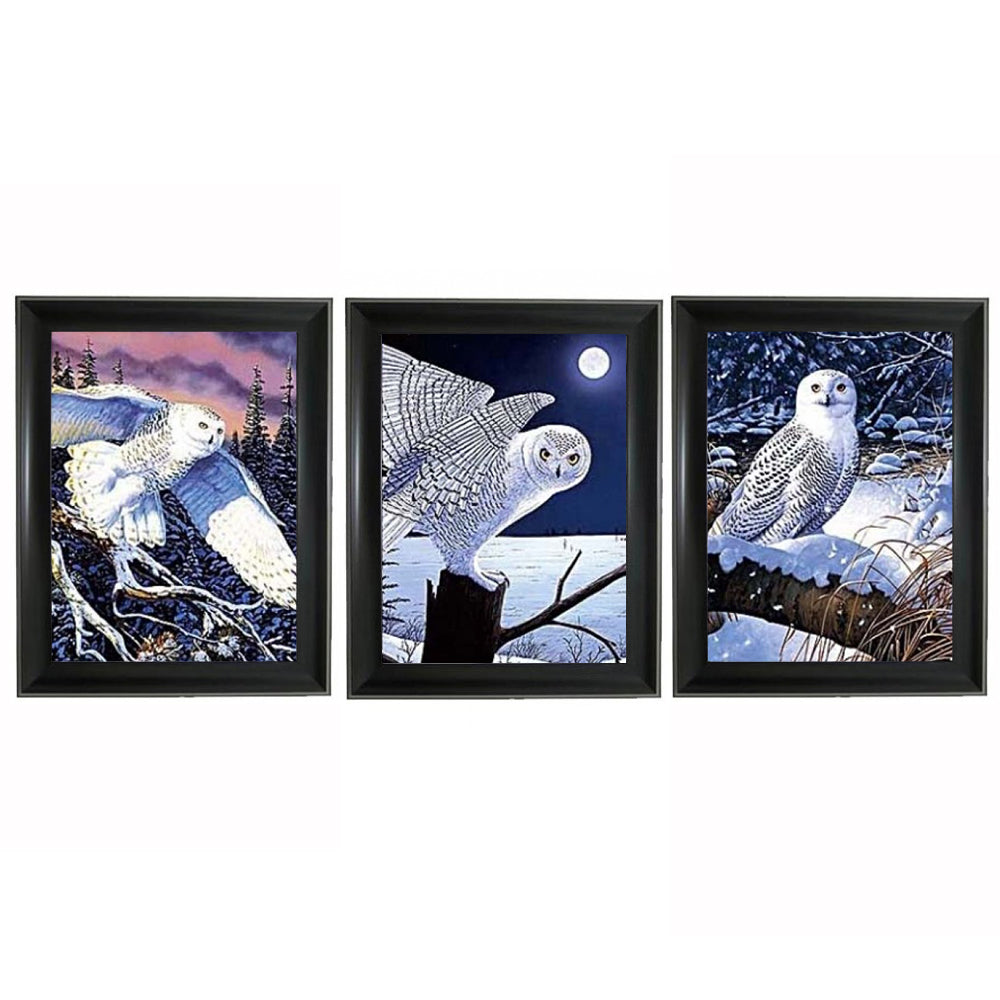 BARN OWL 3D Triple Image  (MINIMUM OF 4)