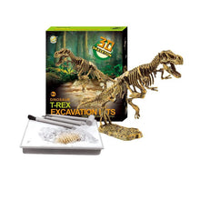 Load image into Gallery viewer, Dinosaur Skeleton Fossil Excavation Kit (T-Rex)  (available for purchase in increments of 1)
