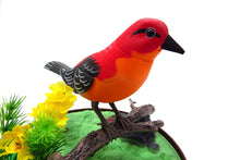 Load image into Gallery viewer, Singing &amp; Chirping Bird In Cage - Realistic Sounds &amp; Movements
