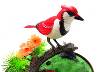 Load image into Gallery viewer, Singing &amp; Chirping Bird In Cage - Realistic Sounds &amp; Movements (Red)
