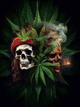 Load image into Gallery viewer, Cannabis/Weed 3D lenticular picture  (MINIMUM OF 4)

