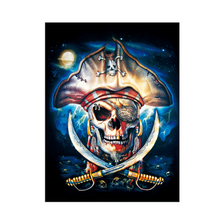 Pirate skeleton Tripple 3D Picture (MINIMUM OF 4)