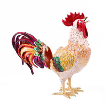 Load image into Gallery viewer, Rooter Jewelry Case
