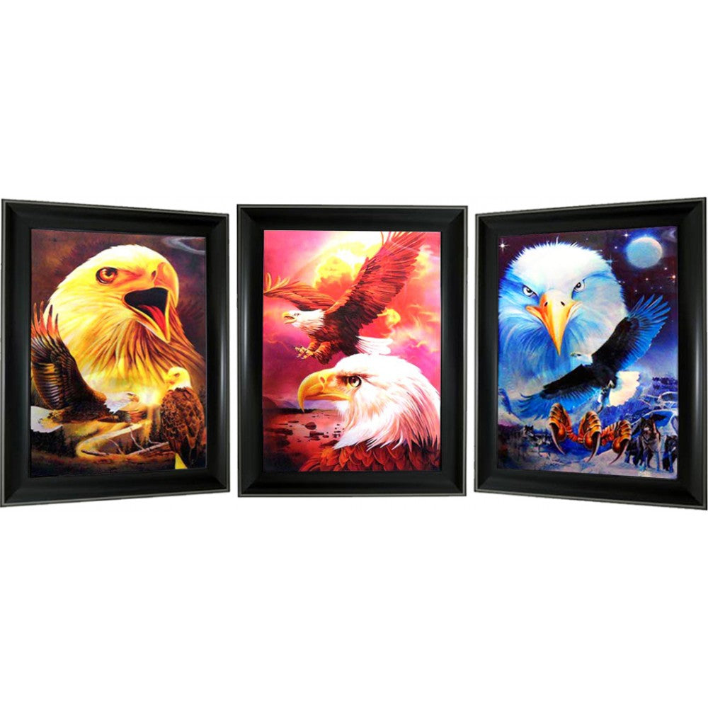 Bald Eagle 3D Lencticular Picture   (MINIMUM OF 4)