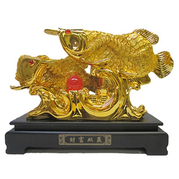 2 GOLD AROWANAS W/COINS