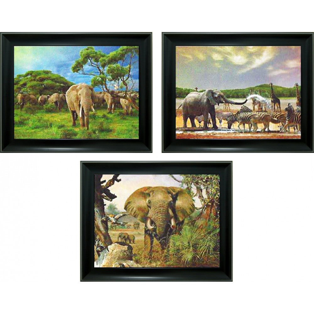 Elephant 3D Triple Image  (MINIMUM OF 4)