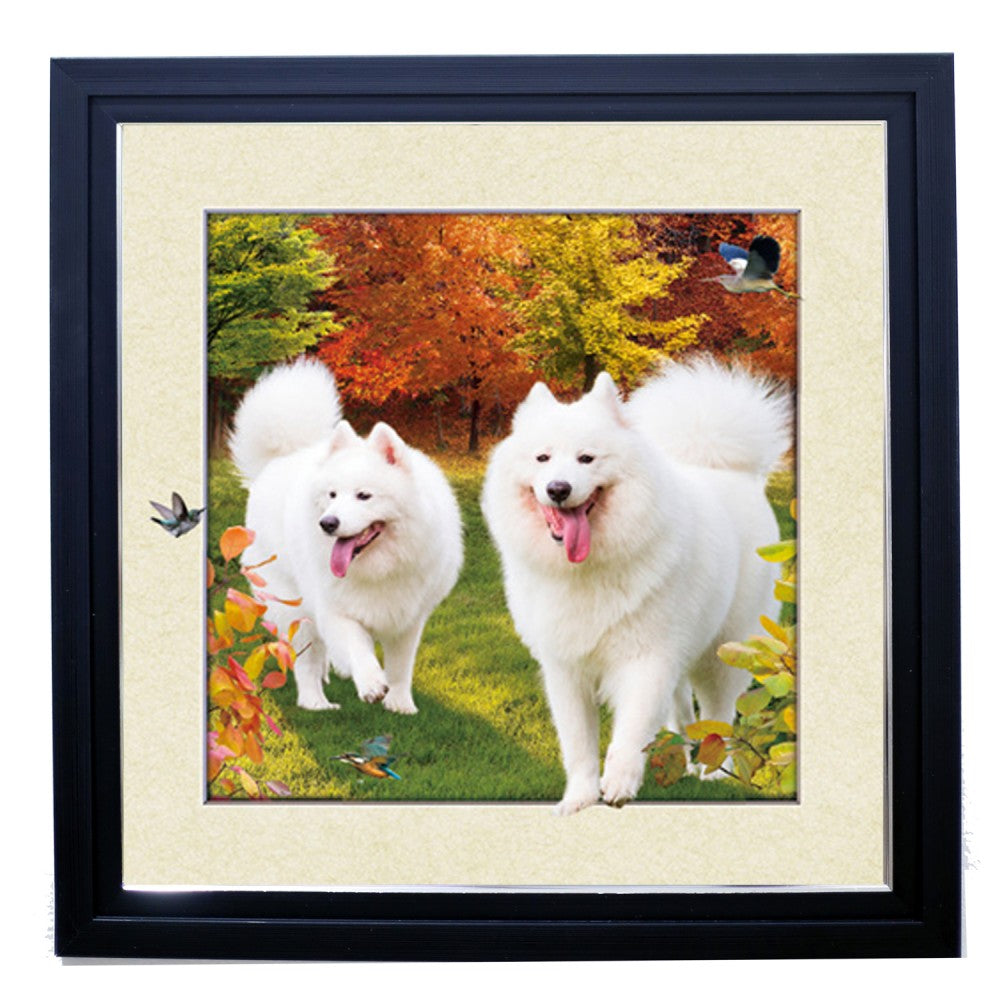 490* Pomeranian 3D Triple Image  (MINIMUM OF 4)
