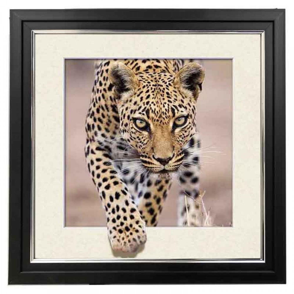 Jaguar 5d Lenticular Picture Frame 18x18  (MINIMUM OF 4)