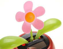 Load image into Gallery viewer, Solar Flower Toy (Pink) (available for purchase in increments of 1)

