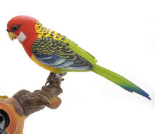 Load image into Gallery viewer, Singing &amp; Chirping Bird Wall Mount
