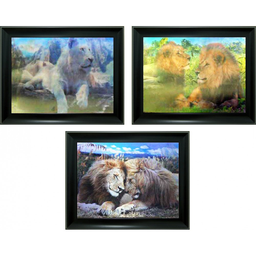 Lion 3D Triple Image  (MINIMUM OF 4)