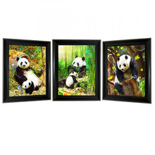 Load image into Gallery viewer, Panda Bear 3D Lencticular Picture (MINIMUM OF 4)
