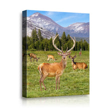 Load image into Gallery viewer, ultra-High Definition Canvases print  (Minimum of 4)

