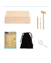 Load image into Gallery viewer, Rocks And Mineral Dig Kits  (available for purchase in increments of 1)
