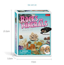 Load image into Gallery viewer, Rocks And Mineral Dig Kits  (available for purchase in increments of 1)
