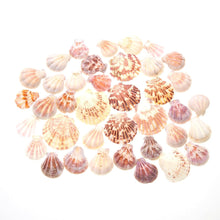 Load image into Gallery viewer, Mixed Beach Sea Shells For Decoration (Bag Of 100 Shells)  (available for purchase in increments of 1)
